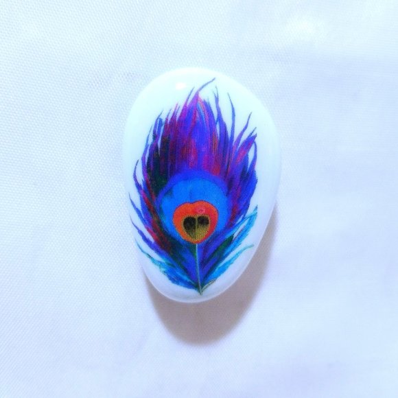 Magical Feather Fridge Magnets Office Magnet set of 5 - Picture 7 of 8